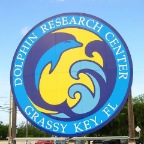 Dessy spent a week with the dolphins